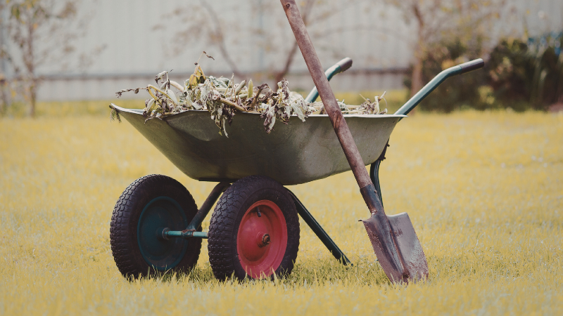 Homeowners: Planning Exterior Updates Before Peak Season